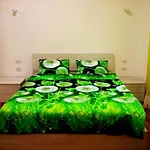 Casa E Appartamento Per Vacanze Bonifazi